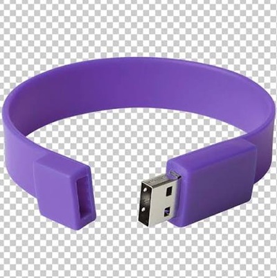 Silicon Wristband Flash 4GB Purple